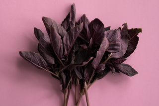 ERBE AROMATICHE