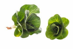 Radicchio Poc gr. 500