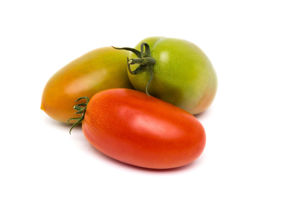 Pomodoro Oblungo gr. 500