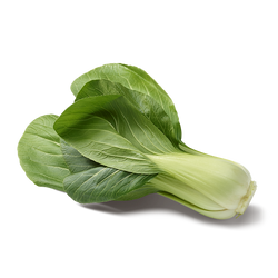 Pak-Choi gr. 500
