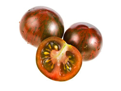 Pomodoro Camone gr. 500