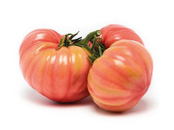 Pomodoro Sorrentino gr. 500