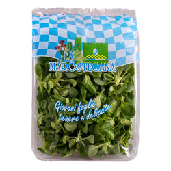 Valeriana lavata 100Gr