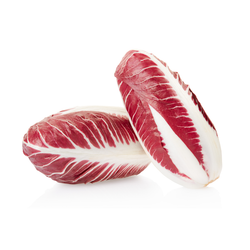 Radicchio Precoce gr. 500