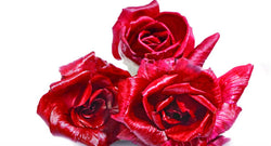 Radicchio rosa isontino gr. 500