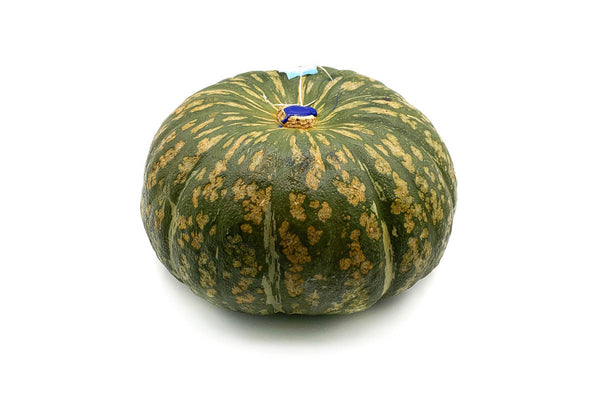 Zucca Delica