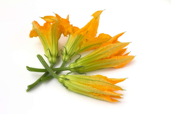 Fiori Zucca