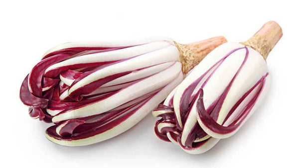 Radicchio Treviso gr. 500