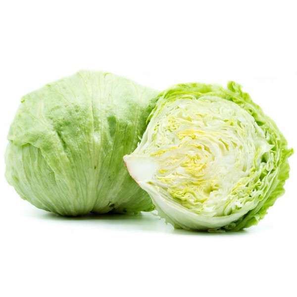 Lattuga Iceberg gr. 500