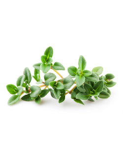 Timo Limone 30gr