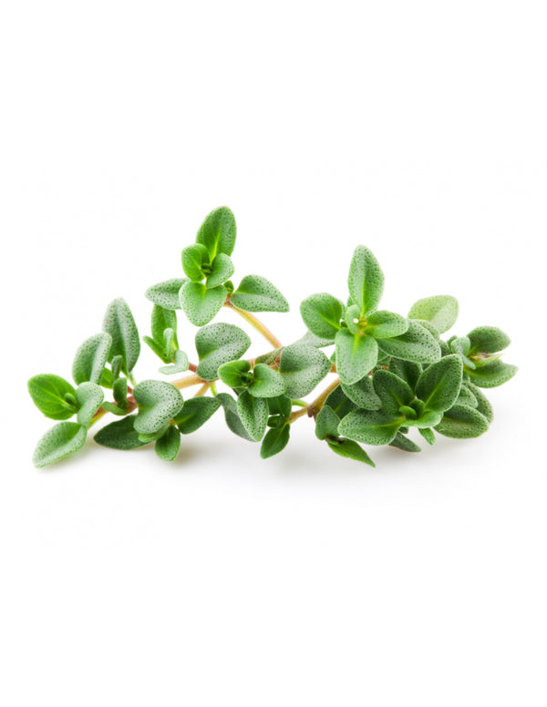 Timo Limone 30gr